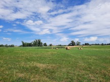 Feld in der Uckermark