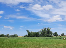 Landschaft in der Uckermark. Foto: K. Gebuhr