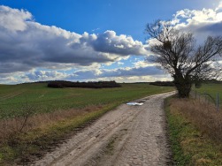 Landschaft in der Uckermark. Foto: K. Gebuhr